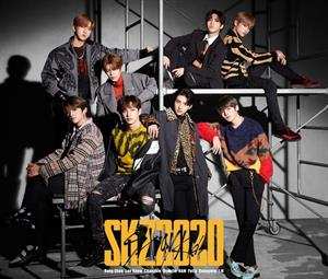 2CD/DVD Stray Kids: SKZ2020 LTD