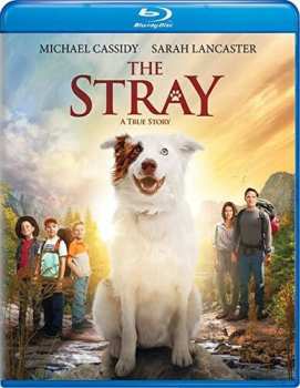 Blu-ray Stray: Stray