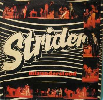 Album Strider: Misunderstood