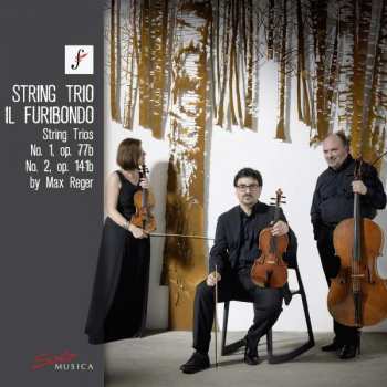 Album Max Reger: String Trios