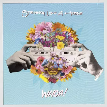 Strung Like A Horse: Whoa!