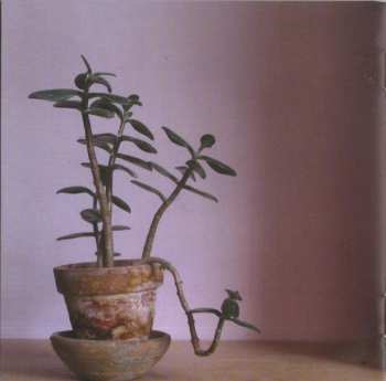 CD Stuart A. Staples: Lucky Dog Recordings 03-04