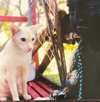 2LP cEvin Key: Music For Cats CLR