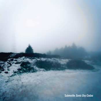LP Submotile: Sonic Day Codas CLR