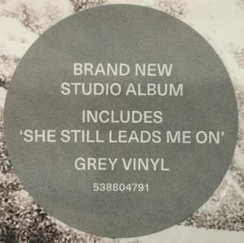 LP Suede: Autofiction LTD | CLR