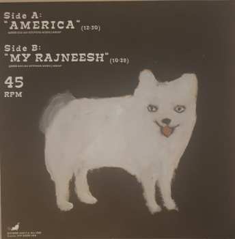 EP Sufjan Stevens: America LTD
