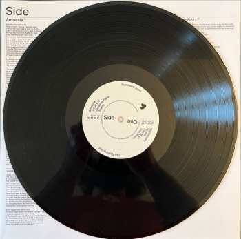 LP Summers Sons: Still Nothing Still