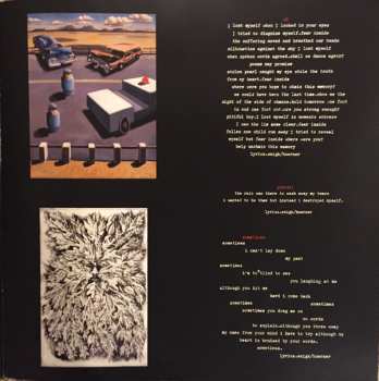 2LP Sunny Day Real Estate: Diary