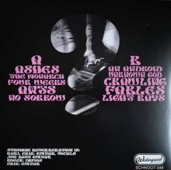 LP Sunshine Reverberation: What Is Real