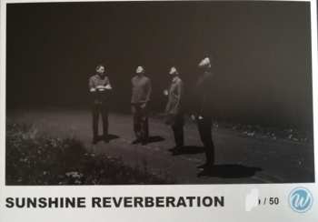 LP Sunshine Reverberation: What Is Real