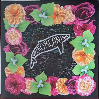 LP Superorganism: World Wide Pop LTD | CLR