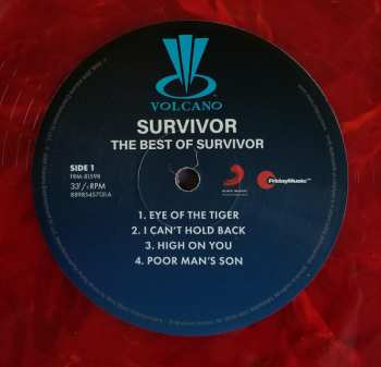 LP Survivor: The Best Of LTD | CLR