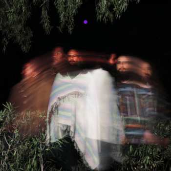 2LP Carlos Niño: Subtle Movements