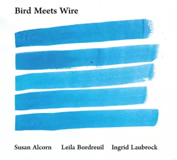 Bird Meets Wire 