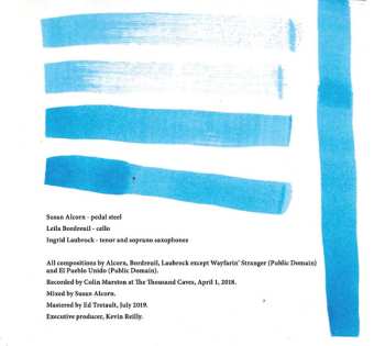 CD Ingrid Laubrock: Bird Meets Wire 