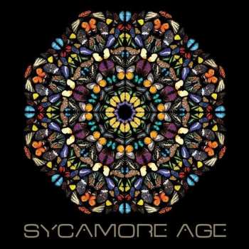 CD Sycamore Age: Sycamore Age