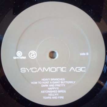 LP Sycamore Age: Sycamore Age LTD | NUM