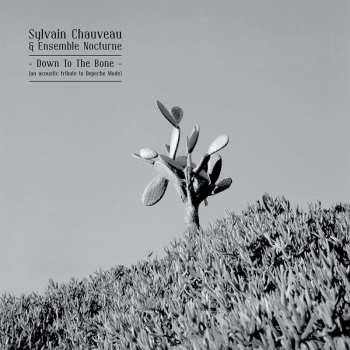 CD Sylvain Chauveau: Down To The Bone