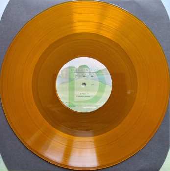 2LP Sylvain Luc: Piaia