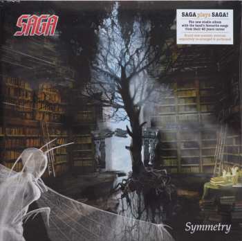 2LP Saga: Symmetry