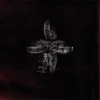 CD Systematic: Somewhere In Between