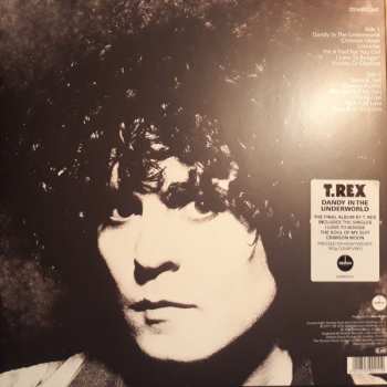 LP T. Rex: Dandy In The Underworld CLR
