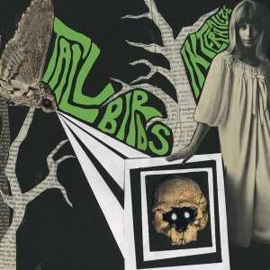 SP Tall Birds: Internalize