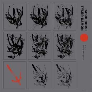 Album Tashi Dorji & Tyler Damon: To Catch A Bird In The Net Of Wind