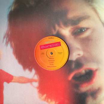 LP Teddy's Hit: Scratch CLR | LTD