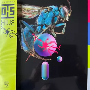 Hive