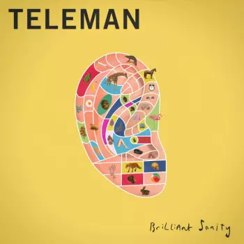 Teleman: Brilliant Sanity