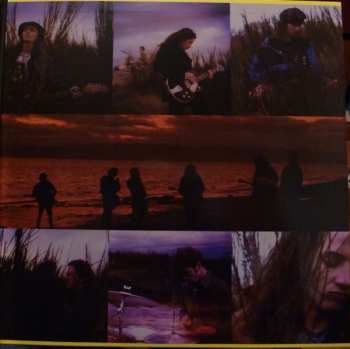 2LP Temple Of The Dog: Temple Of The Dog