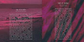 2CD/DVD/Doos/Blu-ray Temple Of The Dog: Temple Of The Dog DLX | LTD