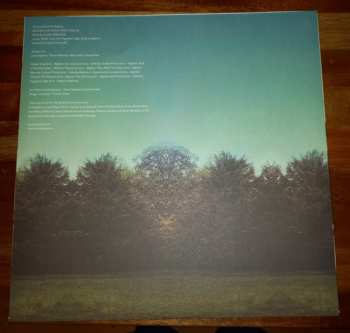 2LP Temples: Sun Structures CLR