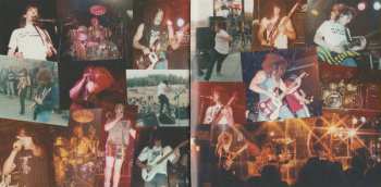 CD Temporary Insanity: Final Walk  LTD