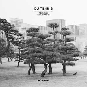 Album Fink: Certain Angles