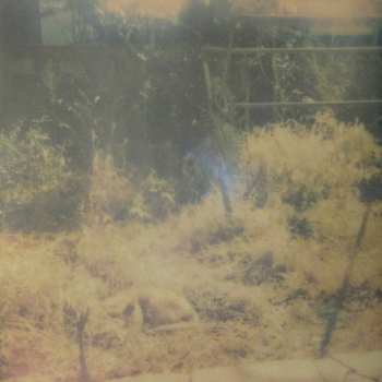 LP Tenniscoats: Music Exists Disc 3