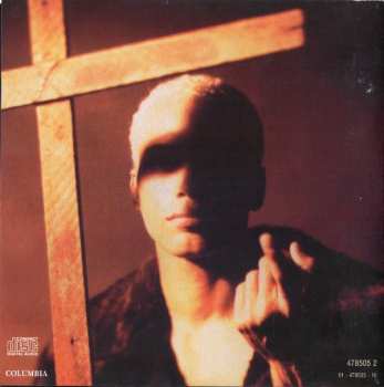 CD Terence Trent D'Arby: Terence Trent D'Arby's Vibrator*