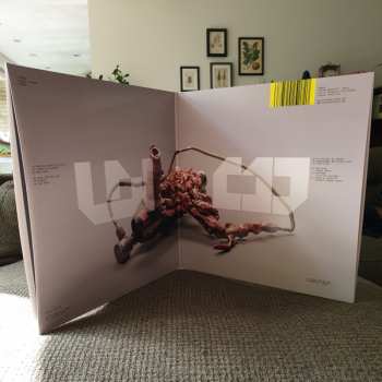 2LP Terror: Control Paradox