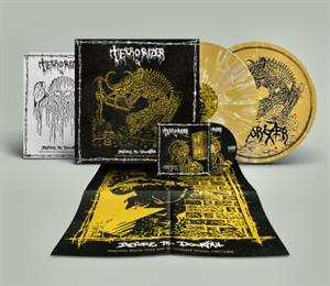 Album Terrorizer: Before The Downfall '87/'89