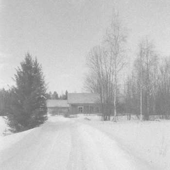 Album Tervahäät: Tervahäät