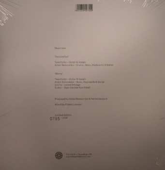 LP Anton Newcombe: Cocaine Cat LTD | NUM