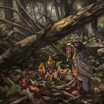 LP The Acacia Strain: Step Into The Light LTD | CLR