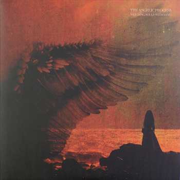 6LP/Doos The Angelic Process: We All Die Laughing DLX | LTD
