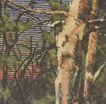 Album The Anomoanon: Asleep Many Years In The Wood