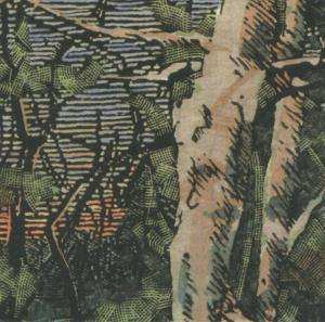 CD The Anomoanon: Asleep Many Years In The Wood