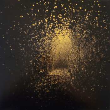 LP The Antlers: Burst Apart LTD
