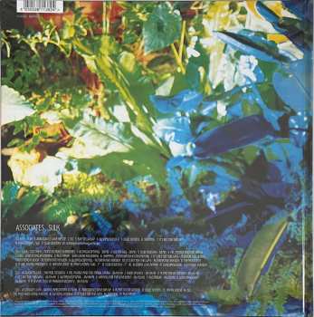 LP/3CD The Associates: Sulk DLX | LTD | CLR