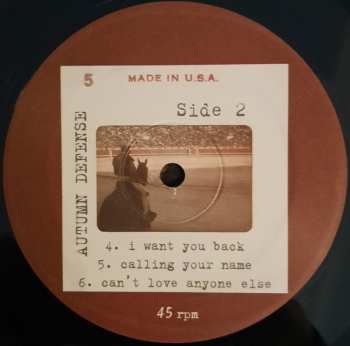 2LP/CD The Autumn Defense: Fifth