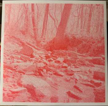 LP The Avett Brothers: The Avett Brothers CLR